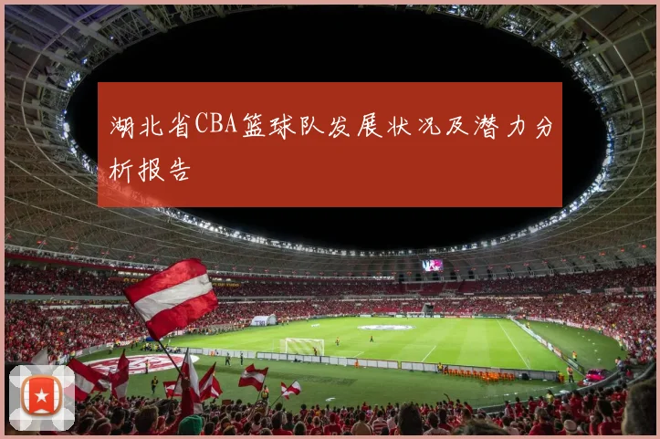 湖北省CBA篮球队发展状况及潜力分析报告